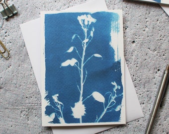 May include: A blue cyanotype card with a white silhouette of a plant with seed pods. The card is blank and ready for a message.