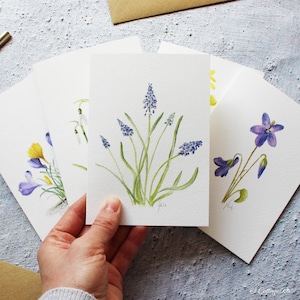 Mixed Pack of 5 Botanical Wildflower Watercolour Greeting Cards Designed By CottageRts