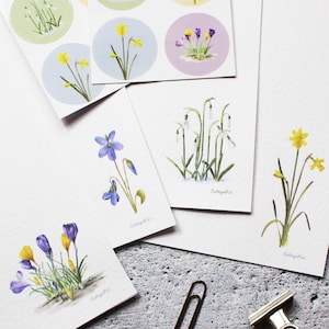 Grand ensemble de papeterie florale | Set d'écriture à lettres fleurs mélangées | Cadeau de Noël | Plusieurs modèles avec enveloppes et autocollants