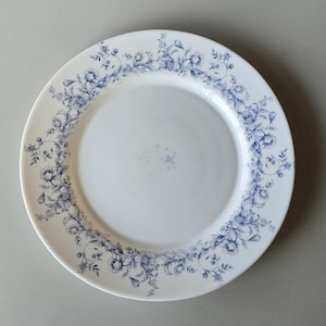 May include: White ceramic plate with a blue floral border. The plate features a delicate pattern of blue flowers and leaves around the rim. The plate is round and has a smooth, glossy finish, suitable for serving food.