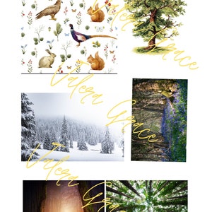 以下が含まれることがあります： 4つの画像を組み合わせたコラージュで、それぞれ異なる森の風景が描かれています。左上の画像は、リス、ウサギ、鳥、花が繰り返し描かれた白い背景です。右上の画像は、太い幹と枝を持つ大きな緑の木です。左下の画像は、背の高い松の木が立ち並ぶ雪に覆われた森です。右下の画像は、紫色の花が咲く森のクローズアップです。