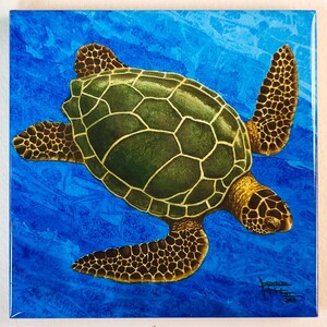 Puede incluir: Una tortuga marina verde con marcas marrones nada en un océano azul. El caparazón de la tortuga está detallado con un patrón de cuadrados y círculos.