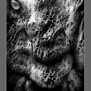 May include: Black and white abstract image with a single eye peering out from the center. The image has a textured, organic feel, resembling a creature's skin. The text "have you seen me?" is written below the image.