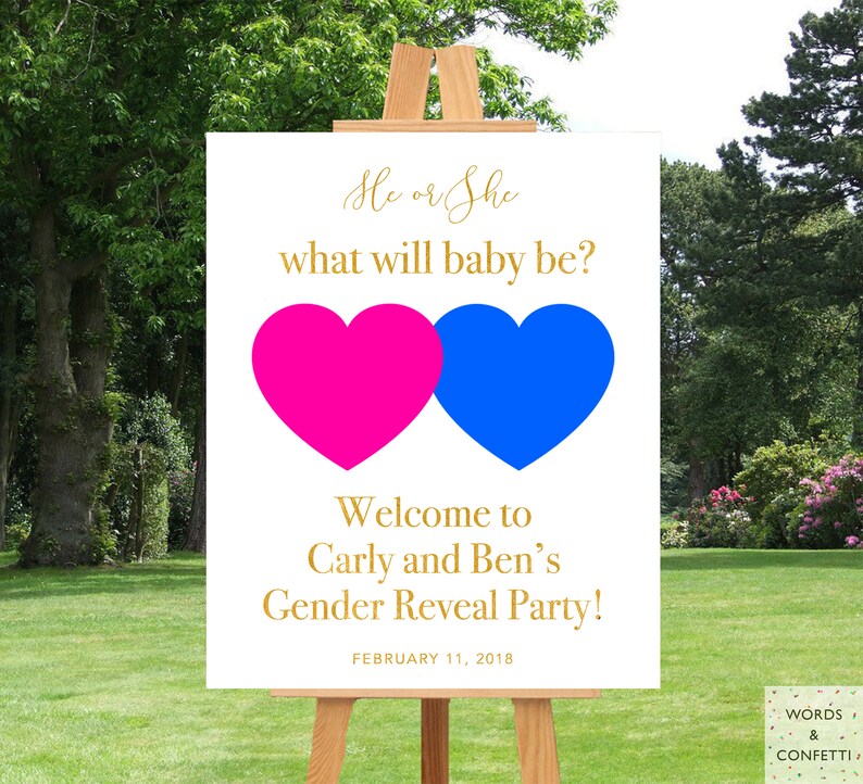 Gender Reveal Ideas Gender Reveal Decorations He Or She Etsy