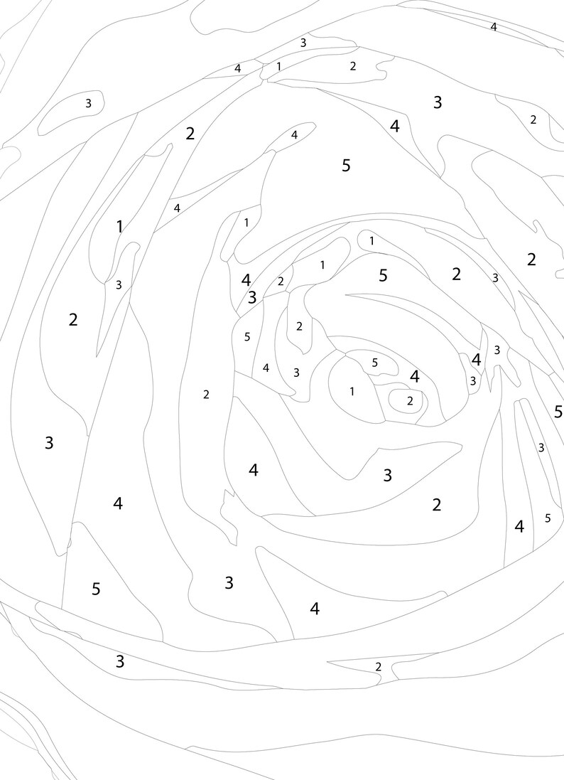 Rose Paint by Number INSTANT DOWNLOAD Printable Learn to Etsy