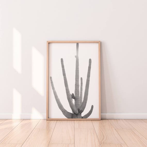 Black And White Cactus Fine Art Photography Desert Saguaro Etsy