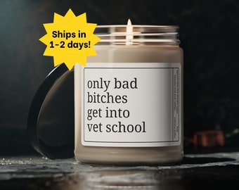 Vet School Acceptance Gift, Veterinary School Gift, Vet Student Candle