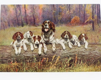 Vintage Print By R. Ingerie 1900's "The Gang's All Here" Spaniels Spaniel Puppies Vintage Art Famous Artist Dog Print Puppy Print Puppy Art