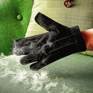 The Furr Fighter, Ultimativer Tierhaar-/Flusenentferner. Bild 12