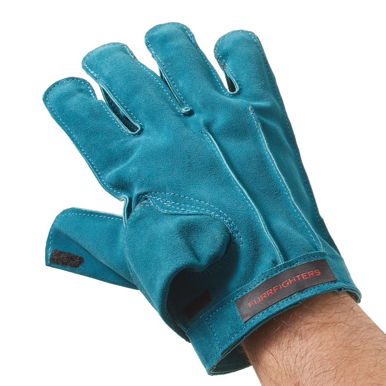 K&ouml;nnte beinhalten: Tealblaue Leder-Arbeitshandschuhe mit fingerlosem Design und einem schwarzen Klettverschluss. Die Handschuhe haben den Text "FURRFIGHTERS" in Rot auf dem Riemen.