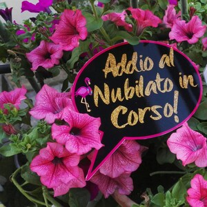 Fenicottero rosa per addio al nubilato!