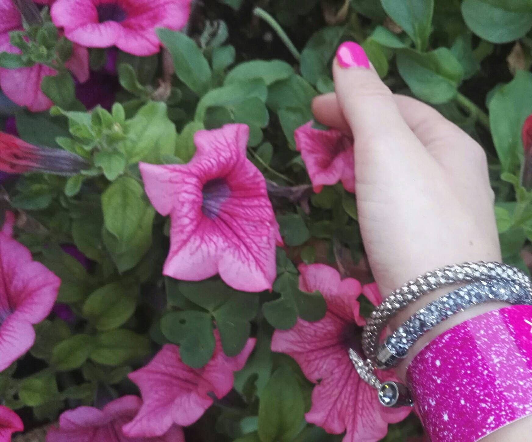 871205_5