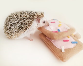 hedgehog cage supplies