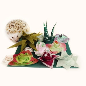 Succulent Garden Forage Mat / Snufflemat