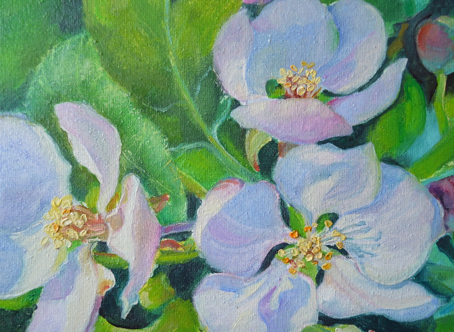 Apple Blossom Apple Painting Apple Art Flowers Painting | Etsy