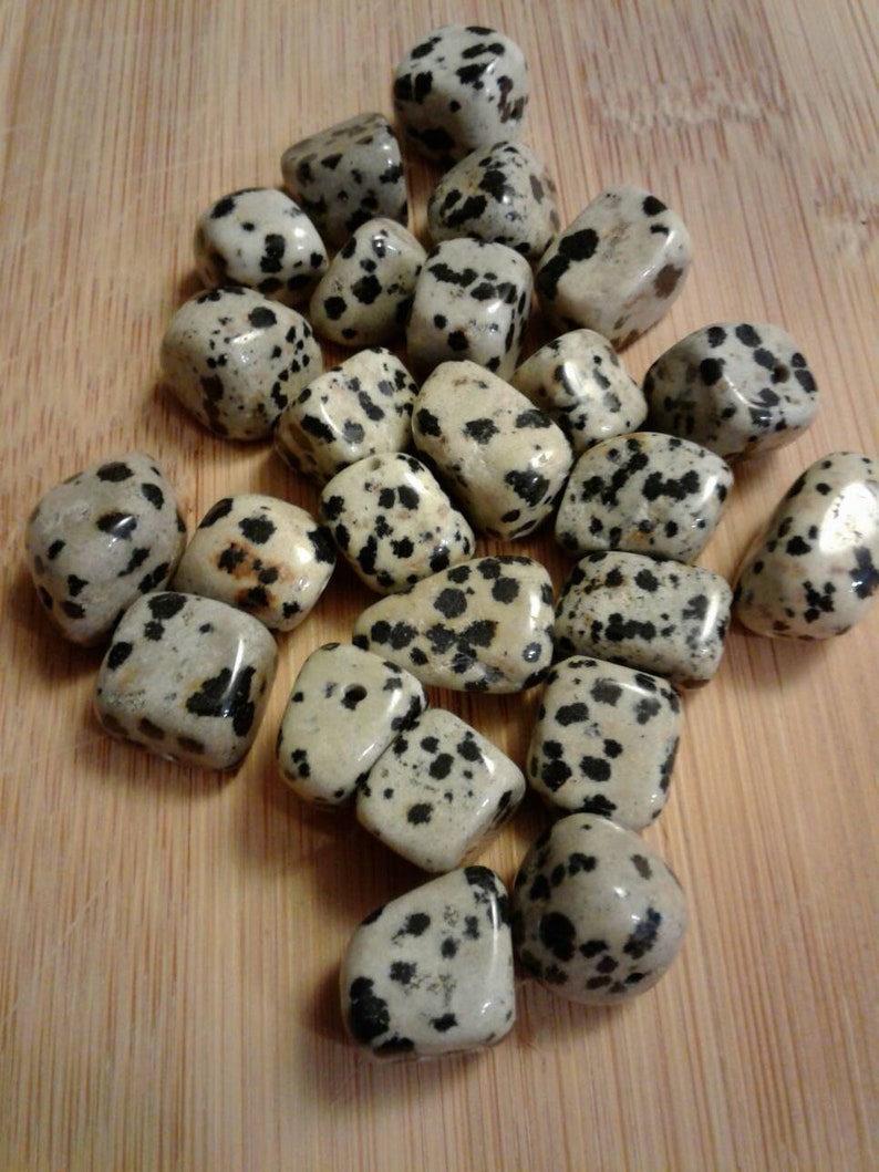 Chunky Nugget 12mms ~ 24 beads total in this set Dalmatian Jasper Beads