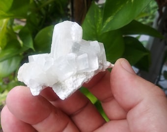Apophyllite Stilbite Crystal Cluster - Apophyllite Crystal - Stilbite Crystal