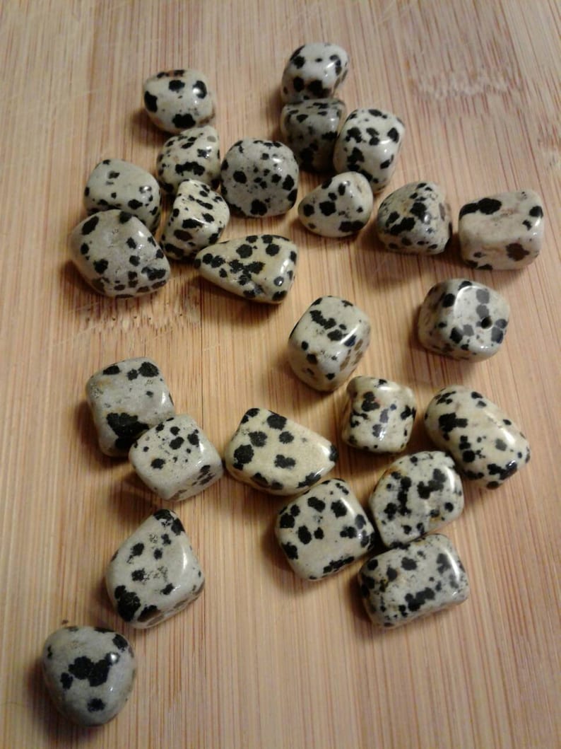 Chunky Nugget 12mms ~ 24 beads total in this set Dalmatian Jasper Beads