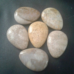 Chunky Nugget 12mms ~ 24 beads total in this set Dalmatian Jasper Beads