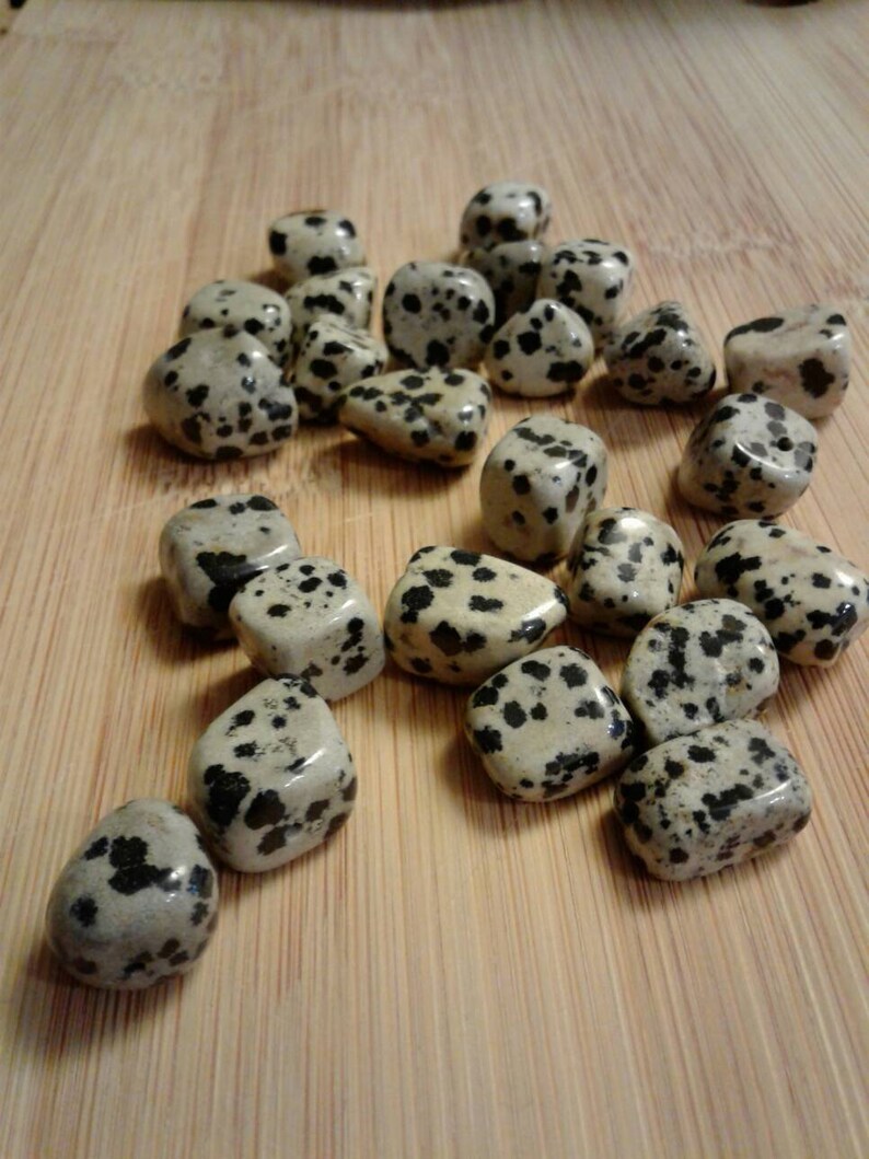 Chunky Nugget 12mms ~ 24 beads total in this set Dalmatian Jasper Beads