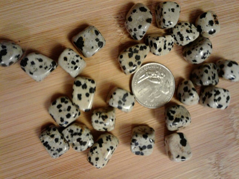 Chunky Nugget 12mms ~ 24 beads total in this set Dalmatian Jasper Beads