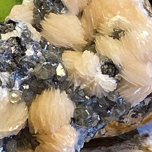 May include: A cluster of pink selenite crystals with a dark gray, metallic mineral. The selenite crystals are delicate and have a layered, fan-like appearance.