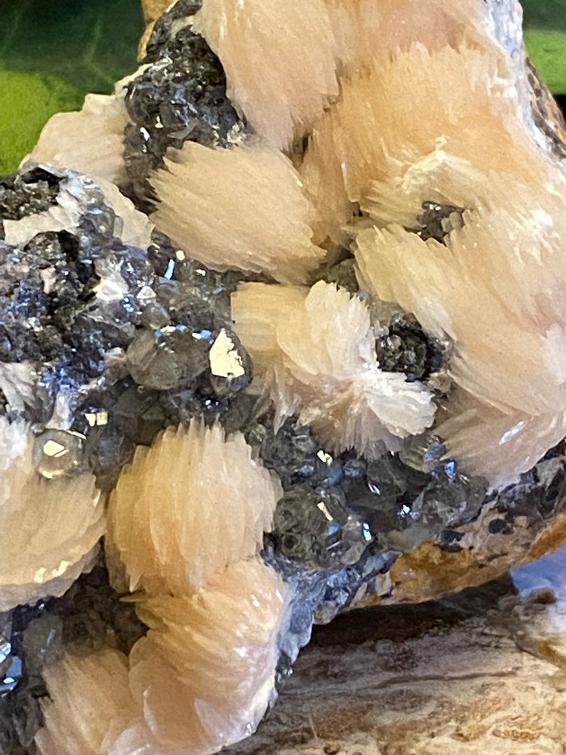 May include: A cluster of pink selenite crystals with a dark gray, metallic mineral. The selenite crystals are delicate and have a layered, fan-like appearance.