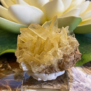 Pale Golden-Yellow Barite Crystal Cluster Mineral Specimen BAR46