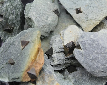 Magnetite Crystal in Talc Schist Matrix Mineral Specimen MAG4