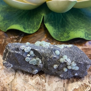 May include: A rough, dark gray rock with clusters of light green crystals. The crystals are small and round, and they are scattered across the surface of the rock.