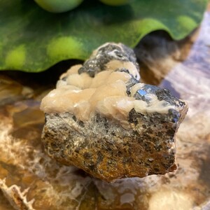 May include: A close-up of a rough, brown and gray rock with a cluster of white and pink crystals on top. The crystals are clustered together in a rounded shape.