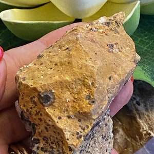 May include: A rough, irregularly shaped piece of yellow jasper with dark brown and black inclusions. The jasper has a mottled appearance and a rough, uneven texture.