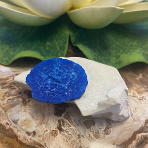 Azurita Sol em Espécime Mineral de Matriz AZUS12