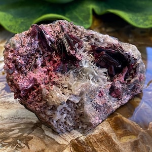Erythrite Crystal Cluster Mineral Specimen ERY4