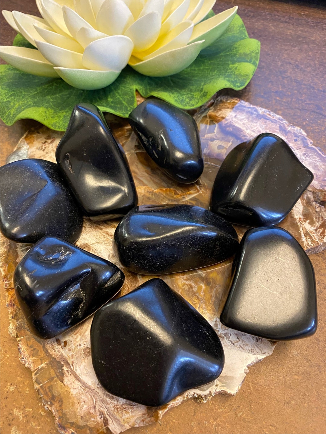 Large Polished Jet Mineral Specimen JET1 Etsy