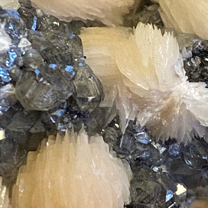 May include: Close-up of a cluster of crystals. The crystals are a mix of dark gray and light pink. The light pink crystals are clustered together in a fan shape.