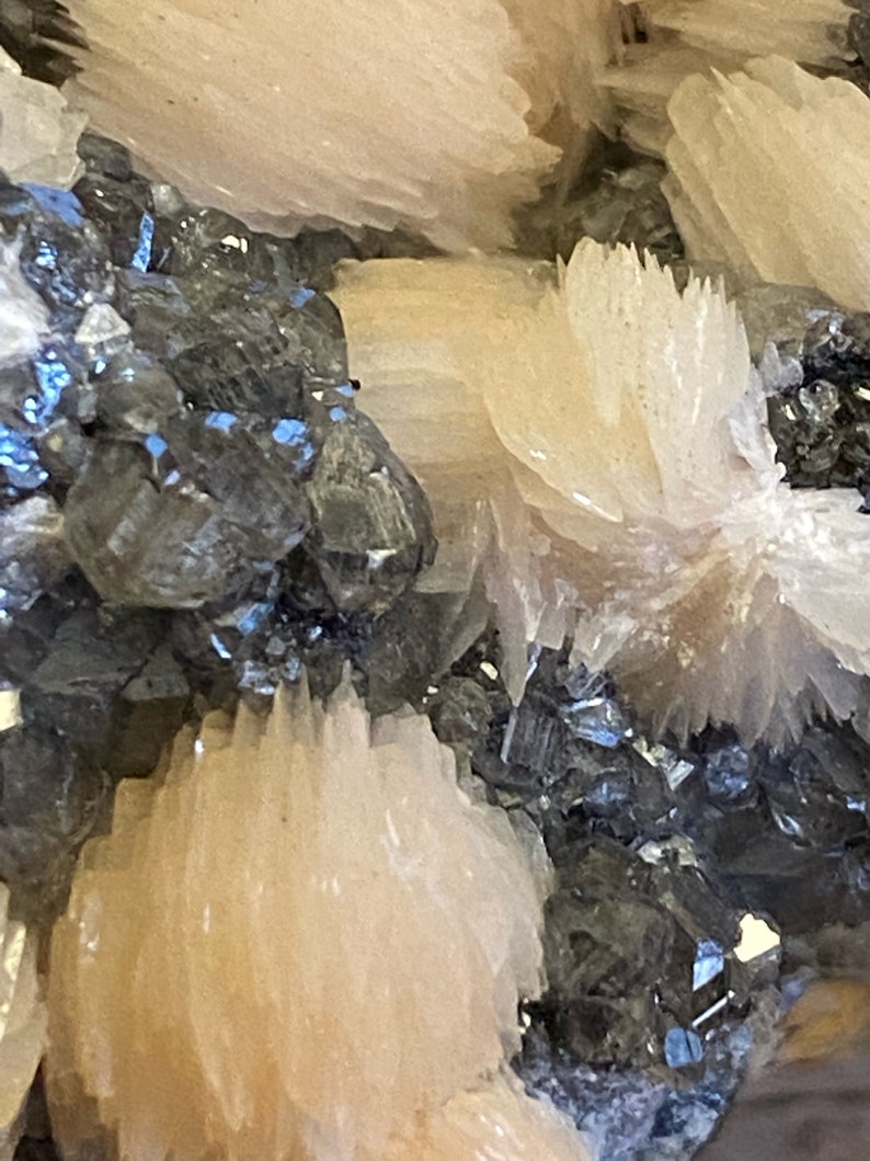 May include: Close-up of a cluster of crystals. The crystals are a mix of dark gray and light pink. The light pink crystals are clustered together in a fan shape.
