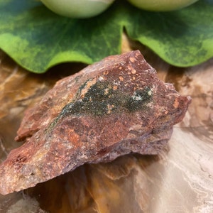 Libethenite on Matrix Mineral Specimen LIB15