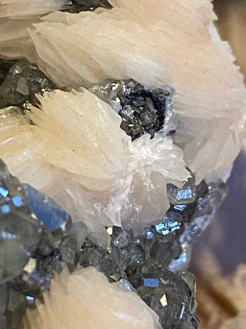 May include: Close-up of a cluster of white barite crystals with a small cluster of black and silver galena crystals in the center.