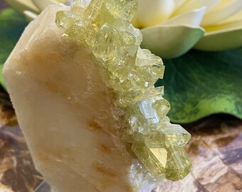 Brazilianite Gemmy Crystal Cluster Mineral Specimen BRAP37