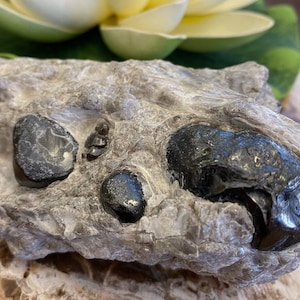 Obsidian var. Apache Tears Mineral Specimen OBS12