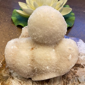 Scolecite &quot;Snowball&quot; Cluster with  Stilbite  Mineral Specimen SCOP17