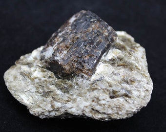 May include: A dark brown, almost black, crystal with a square shape sits on a bed of light gray and white mica. The crystal has a rough, textured surface.