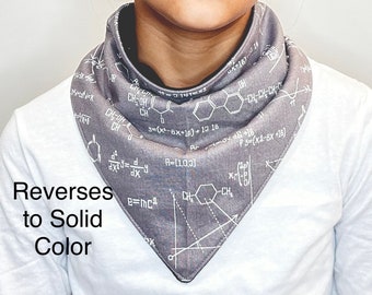 Special Needs Bib Gray CHEMISTRY Reversible to Solid Color Child to Adult Bibs Scarf Bandanna Wetness Barrier with Absorbent Layers Droolist