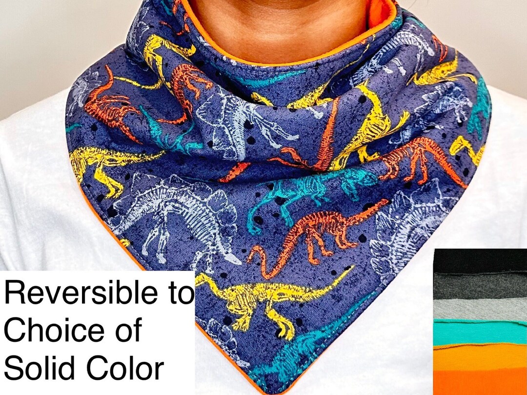 Special Needs Bibs MULTICOLOR DINO Bones Reversible to SOLID Color Kids