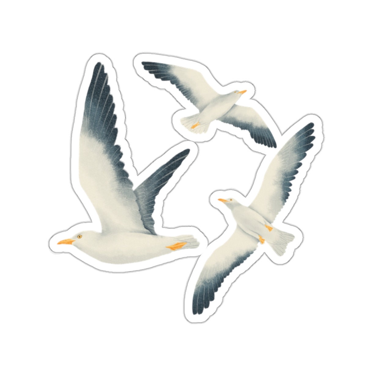 Seagulls 1989 Sticker Seagulls 1989 Sticker