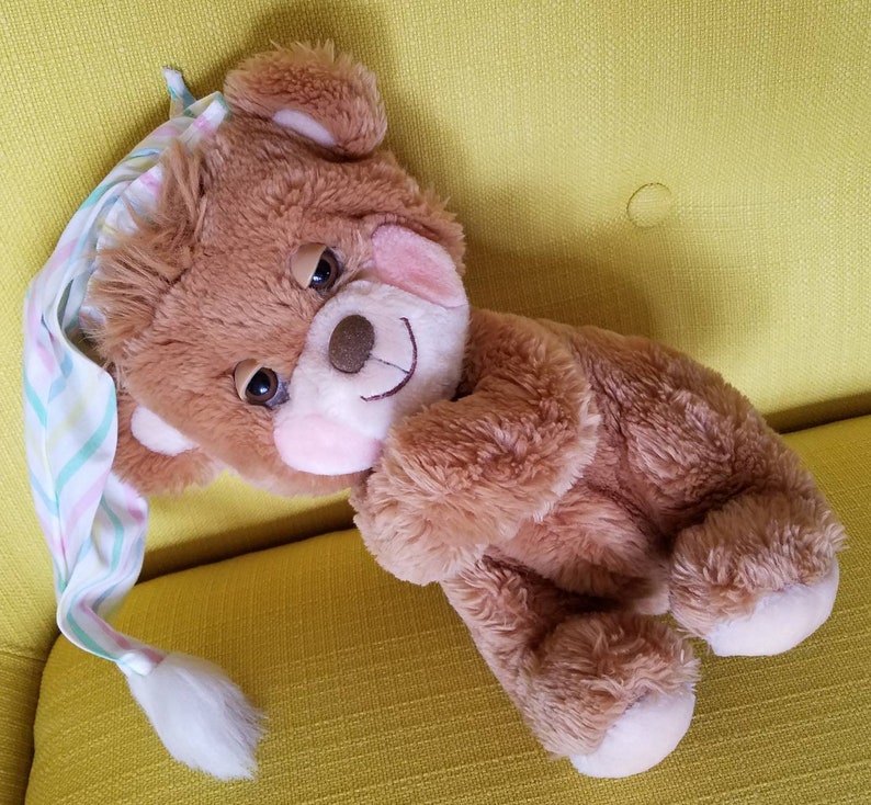 teddy bear with nightcap