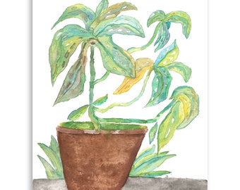 House Plants, "Spring in the Summer", Plant Gifts, Art, 8" x 10" Art Print, Watercolor Art