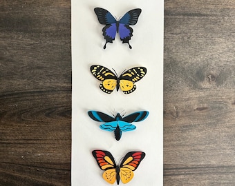 Papercut Butterflies and Moth | Entomology Art | Framed Wall Art | Paper Cut Insect | Entomology Without Death | Artificial Insect