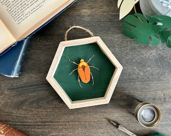 Papercut Orange Beetle | Entomology Art | Paper sculpture | Framed Art | Paper Cut Insect | Entomology Without Death | Artificial Insect